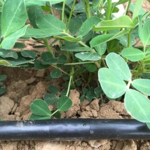 Plastic Round Emitter 16mm Drip Irrigation Pipe for Agricultural