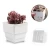 Import Plastic Square Nursery and Seedling Pot Container Seed Starting Transplant Planter with Drain Hole for Succulents from China