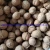 Import Plump and Sweet 100% Natural Xinjiang Wholesale Organic 185 Walnuts/Xin33 Thin-Shell Walnut/Yunnan Thin-Shell Walnut from China