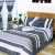 Import Polyester printed king size bedspread from China