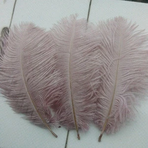 Premium Grade Ostrich Feathers plume / PHEASANT TAIL FEATHERS