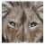 Import Print And Hand Painting Multi Colour Animal Wholesale Acrylic Oil Painting Modern from China