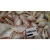 Import Processed Frozen Sea Bream - Red Sea Bream - Seafood from Pakistan