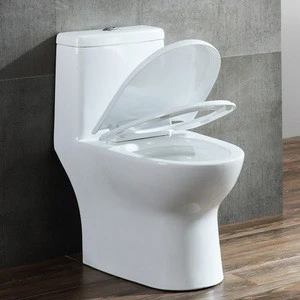 Professional Factory Supply High Quality Floor Mounted Ceramic WC European Toilet Price India