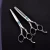 Import Professional Hair Cutting Shears Set Barber Hairdressing Thinning Scissors Blue Diamond Half Gold Dragon Handle Shears from Pakistan