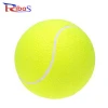Professional High Quality International Tennis Games Tennis training boll for playing/Schooling Cricket game batting rubber ball