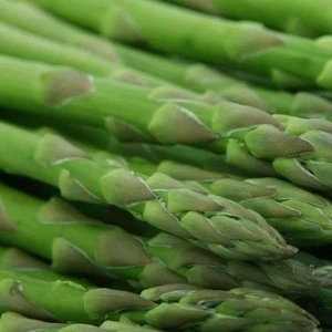 Quality Fresh Asparagus