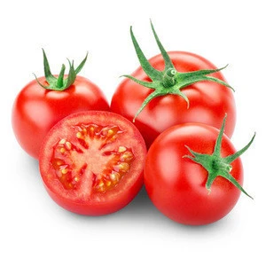 Quality Fresh Red Tomatoes