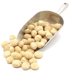 Raw organic Brazil Macadamia nuts with shell and Without shell.
