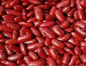 Red Kidney Beans, Light Speckled kidney bean, Frozen beans