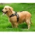 Import Reflective Breathable Puppy Dog Vest Harness, Pet Products Soft Dog Vest Harness from China