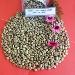 ROBUSTA GREEN COFFEE BEAN, GRADE A, SCREEN 13-18 MS. JENIFER: 0084909740687