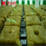 Rockwool gardening soil, seed start rockwool propagation cube plant