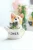 Import Roogo resin mini lovely corgi decoration flower pot from China