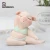 Import Roogo resin yoga pig statue for home decoration from China