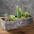 Import Rustic Brown Wood Nesting Succulent Planters Wooden Flower Pot from China