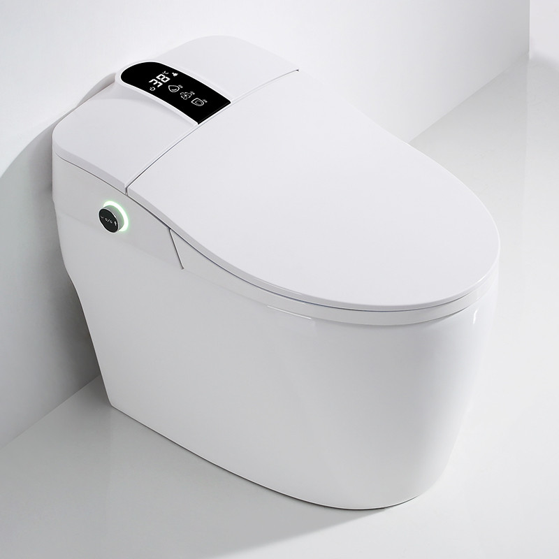 Buy Sanitary Ware Ceramic Floor Mounted Automatic Toilet Flush ...