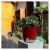 Import self watering planter plastic flower pot nursery pots from China