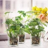 Set of 3 Artificial Plants, Faux Tabletop Greenery w/Clear Glass Pots