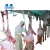 Import Sheep goat slaughter equipment sheep and goat skin removed equipment from China