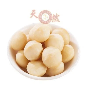 Shell Macadamia Nuts grown in Australia 25 kilogram bags / Raw Macadamia Nuts available