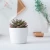 Import Simple white creative gardening mini succulent ceramic round flower pot planter can be wholesale grass plant indoor eco friendly from China