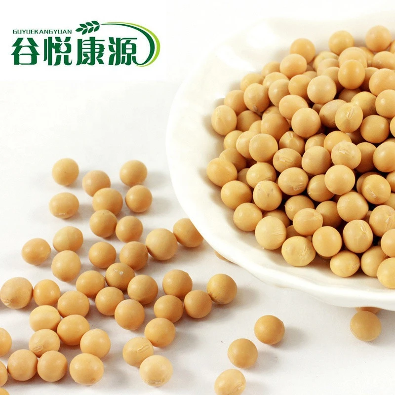 Soybeans from China with best quality and best price yellow bean