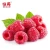 Import Spray Dried Raspberry Powder from China