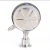 Import Stainless steel Hygienic pressure gauge Electric contact pressure gauge Diaphragm pressure gauge from China
