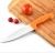 Import Stainless Steel Kitchen Knife With Color Handle from China