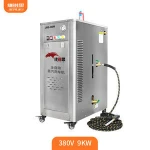 steam car wash machine 220v steam cleaner carwash