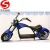 Import Suncycle Most Fashionable Citycoco 2 Wheel Electric Scooter Adult Electric Motorcycle from China