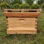 Import Support Customized Agricultural Beekeeping Hive Wooden Bee hives from China