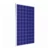 Import Sustainable Sun Power Other Solar Energy Related Products Poly Solar Panel 310W from China