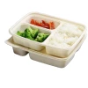 Take Away Biodegradable Disposable Food container Lunch Boxes wholesale