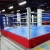 Import Thai Boxing Ring Sanda wrestling martial arts Boxing Championship Rings from China