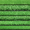 The Best Value Artificial Grass With Advanced Blade Design Lawn Turf Carpet For Outdoor Landscape