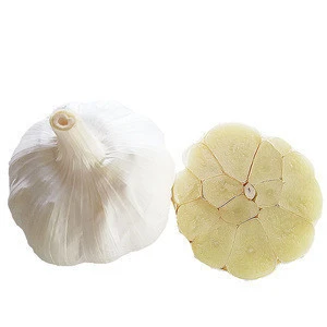 Top Quality Chinese Pure White Garlic Seed For Planting