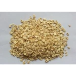 Top Quality Oats At the best Competitive pRICES