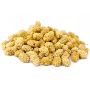 Turkish Organic and Natural Dried Mulberries (Doypack)