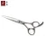 Import UA-60 Professional best japan vg10 stainless steel hair barber scissors from China