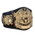 Import UFC Wrestling Belts Custom Crafted High Quality Boxing Karate Martial Arts Championship Belts from Pakistan