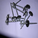 umbrella head roofing nails (Factory) ---------LINYI LUMEI