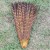 Import various color reeves pheasant tail feathers pheasant feather long from China