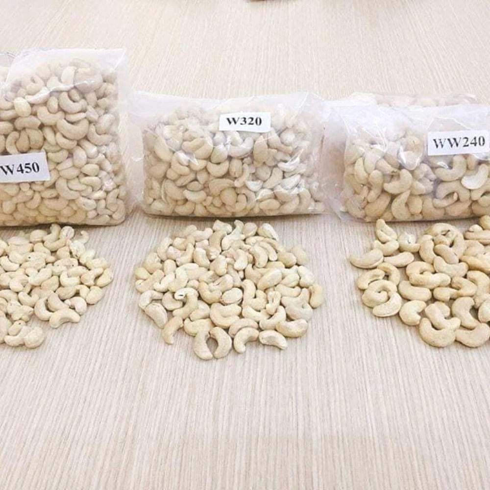 Various Types of Raw Cashew Nuts