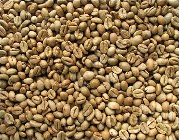 Vietnam coffee Beans