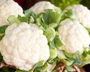Vietnam Fresh Green Cauliflower