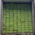 Import Vietnam Fresh Seedless Lime from Vietnam