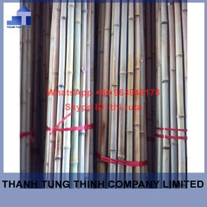 Buy Vietnamese Bamboo Pole For Sale - Thanh Tung Thinh from THANH
