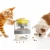 Import White Gray Cat Dog Toy Food Feeder Auto Food Dispenser With Interactive Performance Happy Push Feeder from China